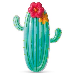 Kaktus Luftmadras